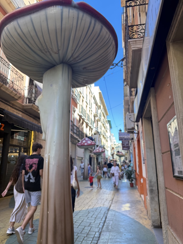 Alicante: playas, gastronomía y todo el encanto del Mediterráneo